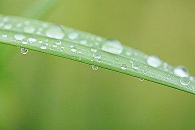 地雷社新作《妖精剑士F：Refrain Chord》正式公布 9月15日发售